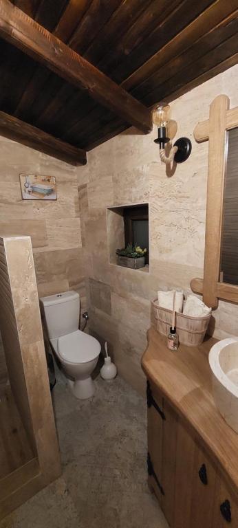 Ribarev san photo 3