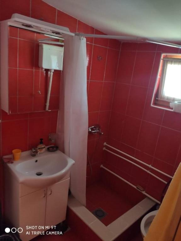 Suncevica Apartmani photo 3