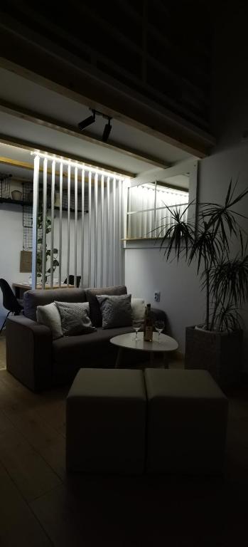 Zona Apartments 1 photo 2