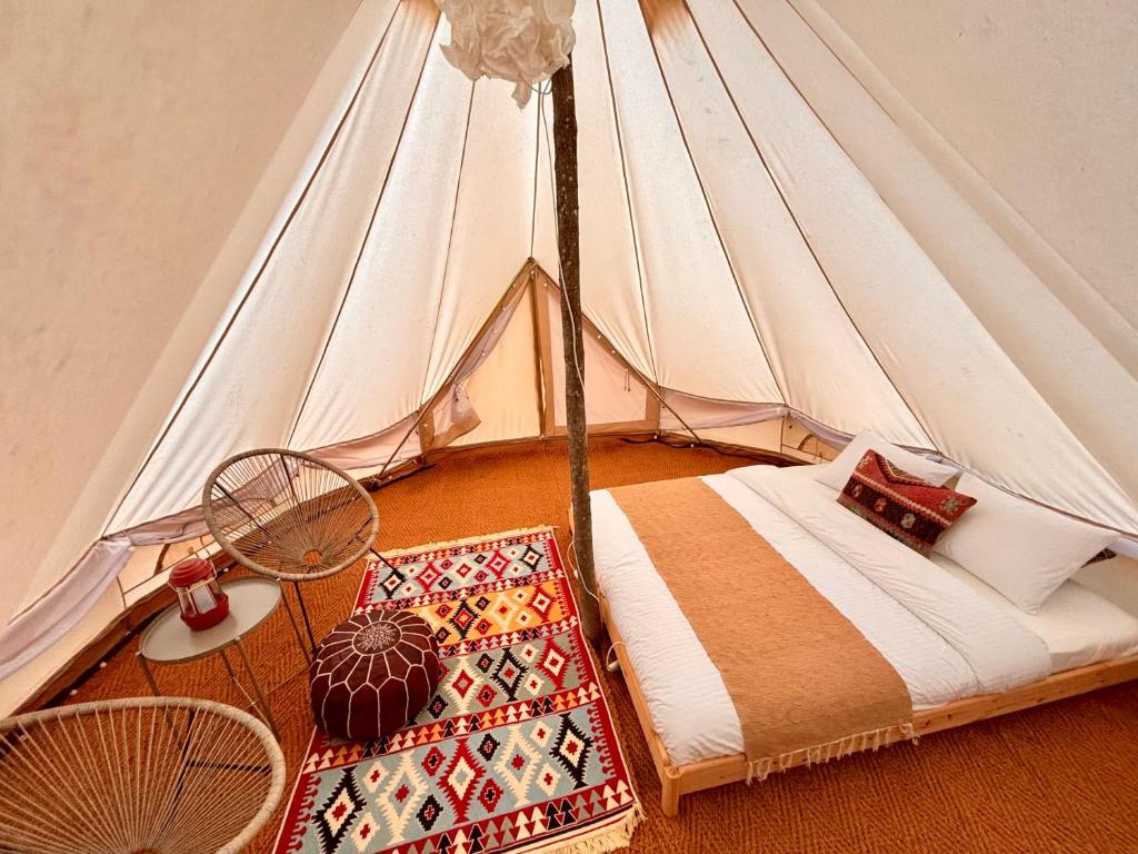 Rosehip camp photo 2