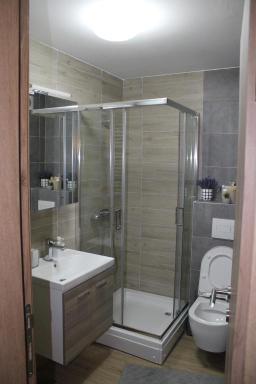 S S Apartman photo 3