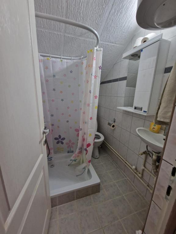 Studio Petrovac photo 3