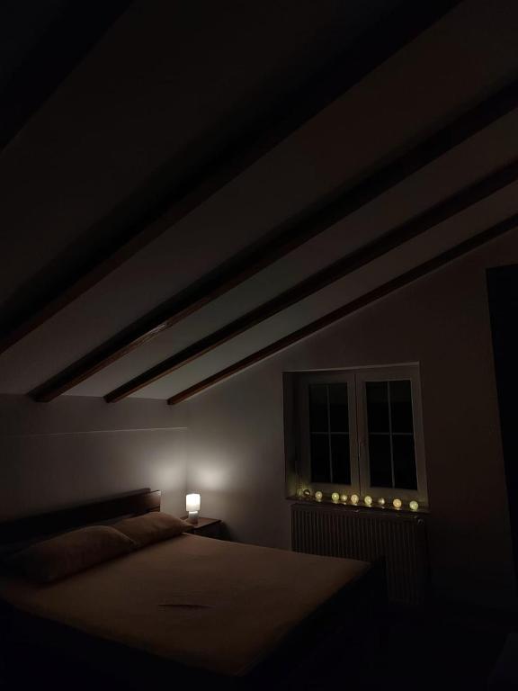 Srebrna pahulja — photo 1