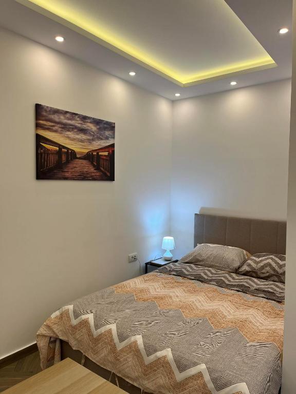Surčin Centar apartment photo 2