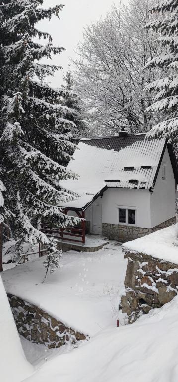 Sova Kopaonik — photo 1