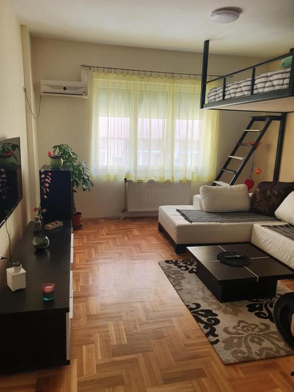 Stankovic apartman — photo 1