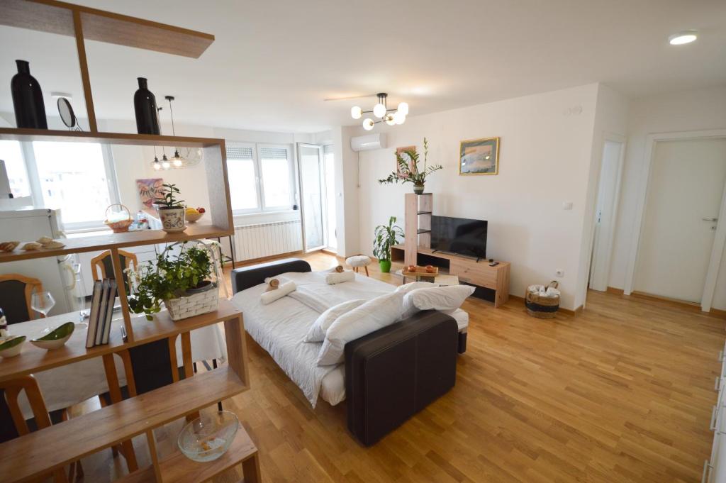 Shine24 - Spacious and Bright Apartment Free Parking and Fast WiFi photo 2