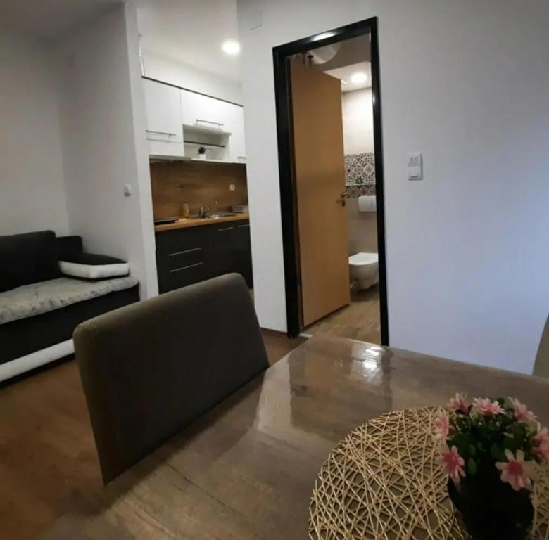 Studio Djukić Sokobanja photo 2