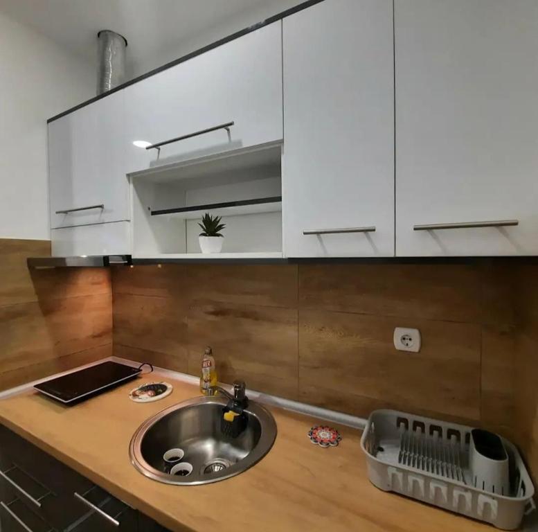 Studio Djukić Sokobanja photo 3