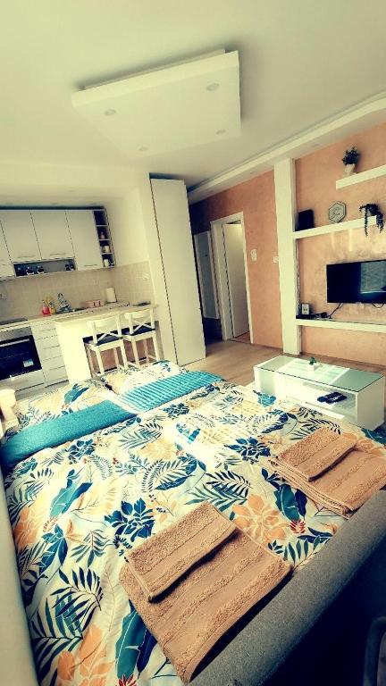 Studio Apartman Ban photo 2