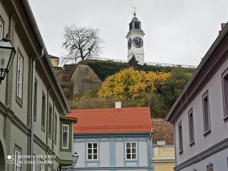 Zlatica Petrovaradin — photo 1