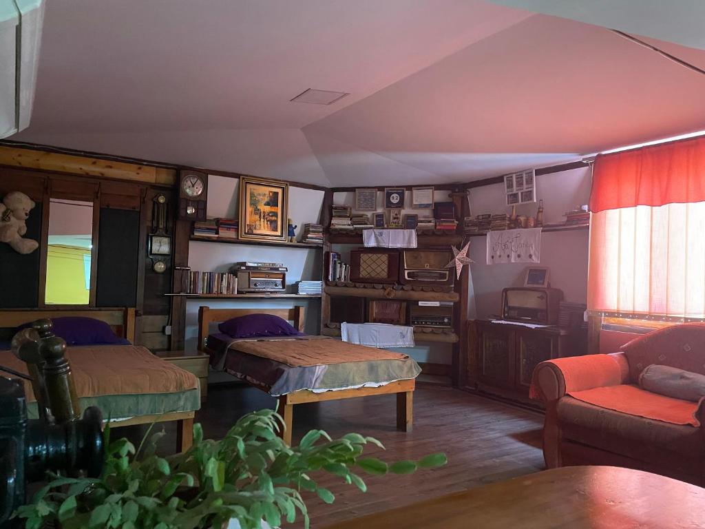 Apartment Jancic — photo 1