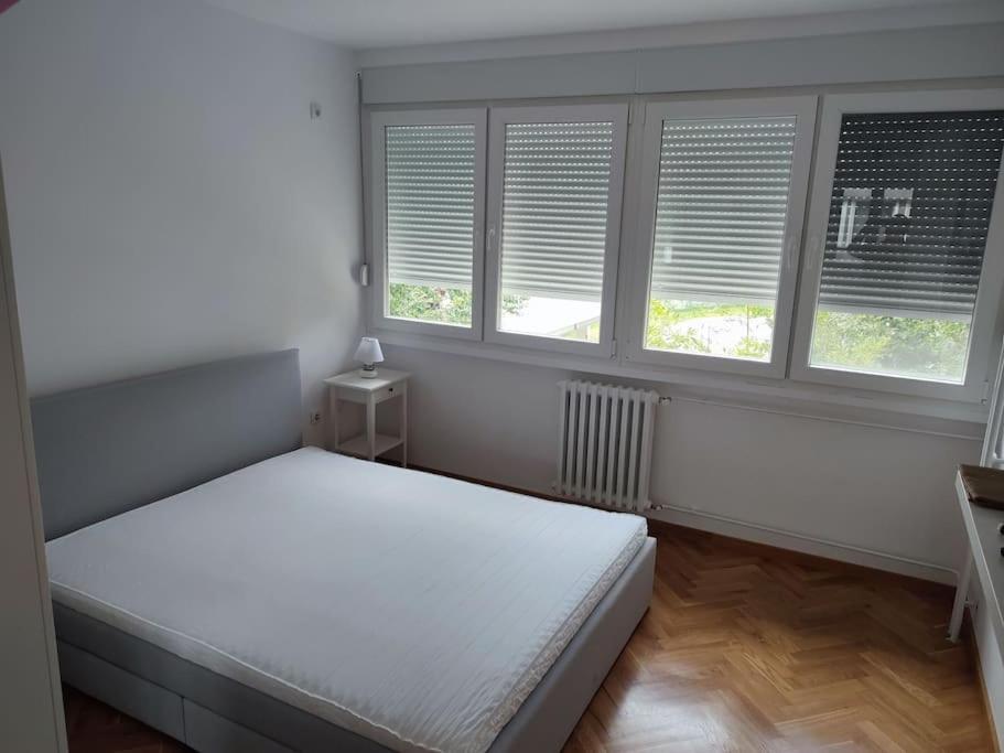 Tesla apartment - lovely 2 bedroom apartment photo 2