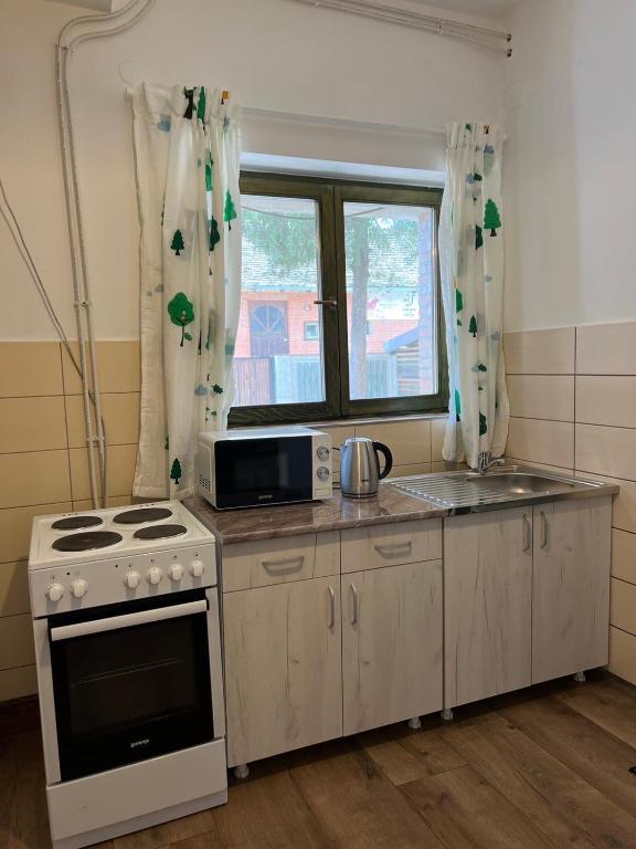 Sremski Karlovci Center Homestay photo 3