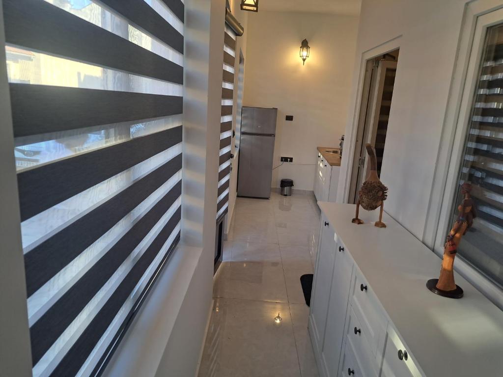 Stefanovic photo 3