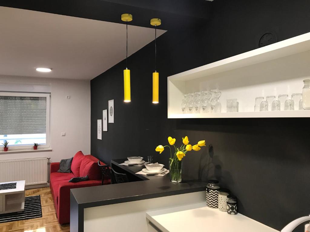 Tiara Apartment Novi Sad with terrace photo 3
