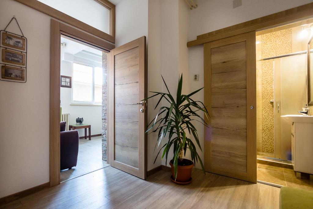 The Duke Apartment photo 3