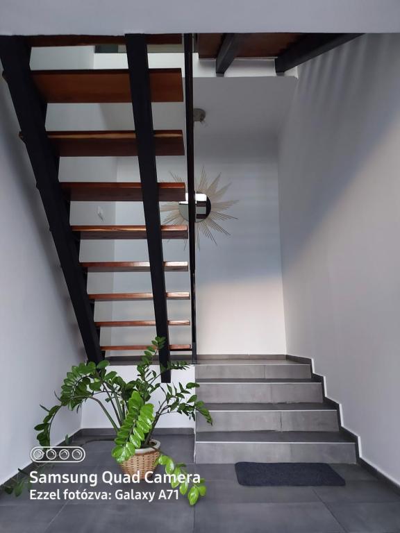 Scala Studio Apartments — photo 1