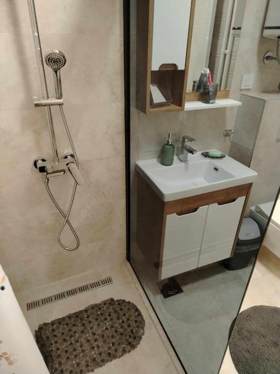 Star Apartment Belgrade 1 photo 3