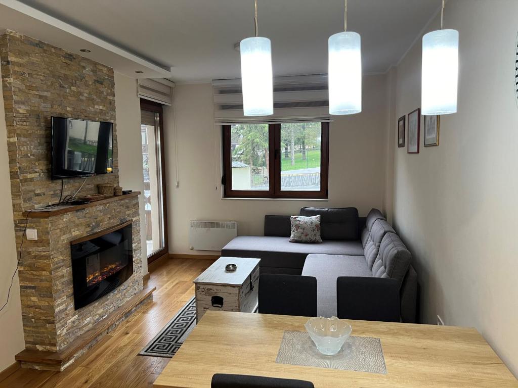 Zlatibor Relax & Spa Apartman — photo 1