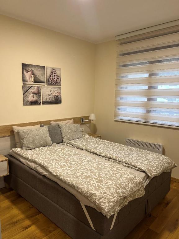 Zlatibor Relax & Spa Apartman photo 2