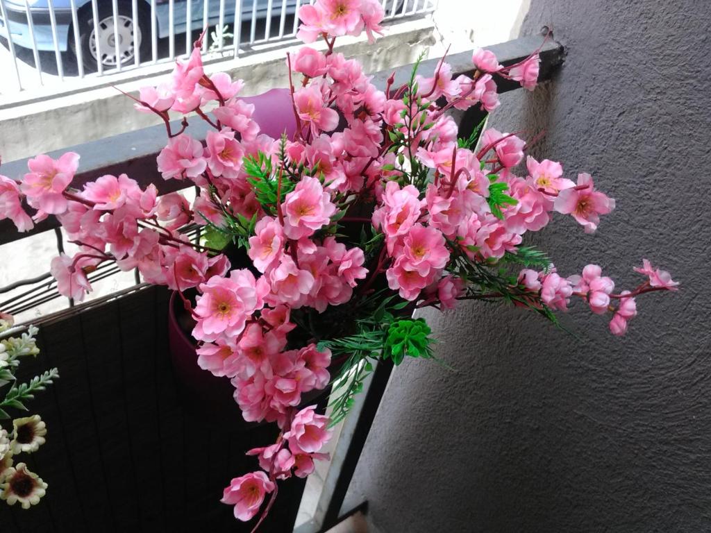Keti 1 — photo 1