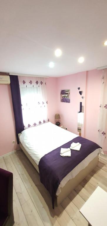 Keti 1 photo 2
