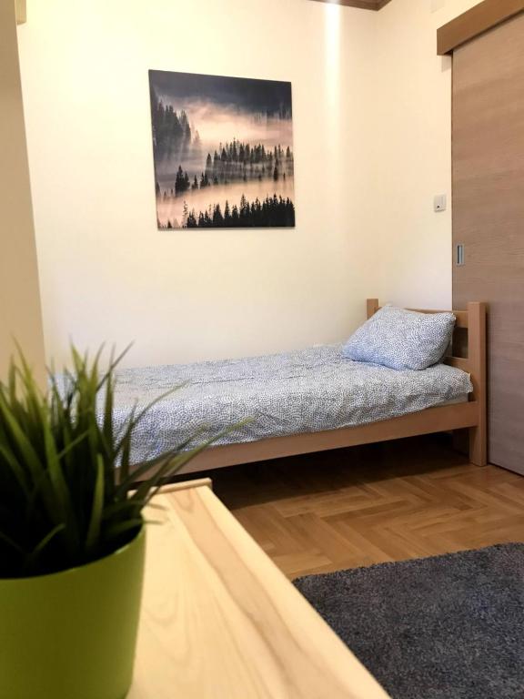 GOski Apartman Brzeće Kopaonik photo 2