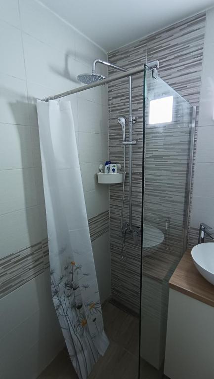 Trgovacka Zarkovo - Apartman photo 3