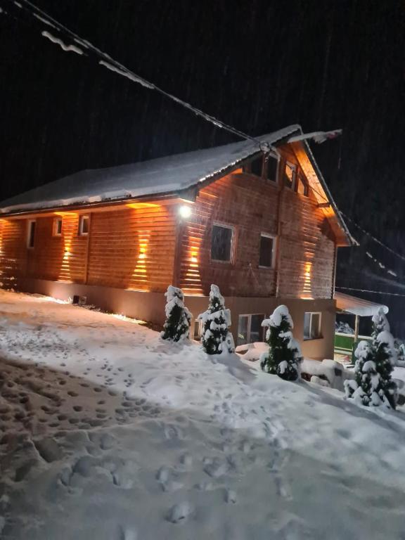 Šumska vila Gašić — photo 1