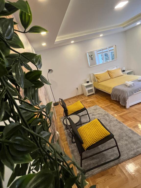 Tesla View Apartment — photo 1