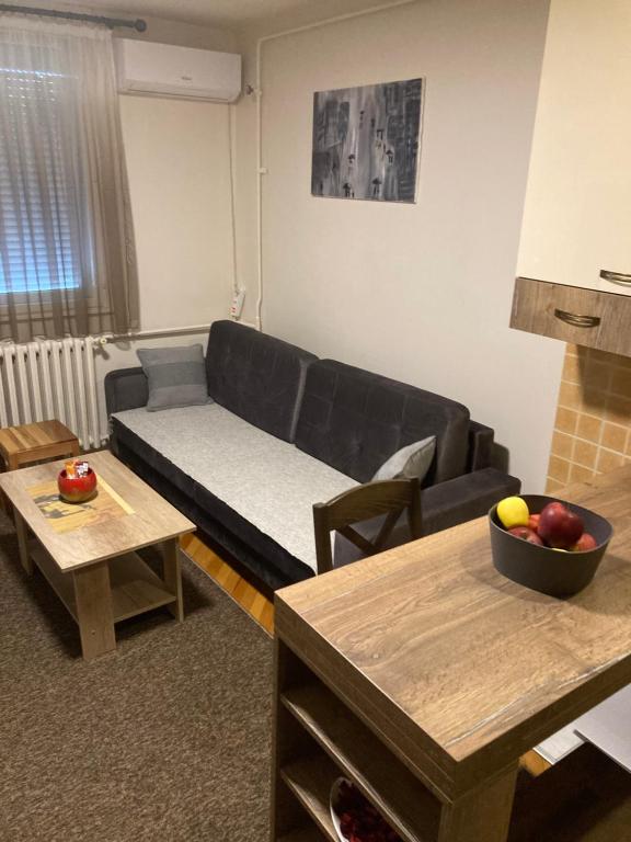 Sofi Apartment Nis photo 3