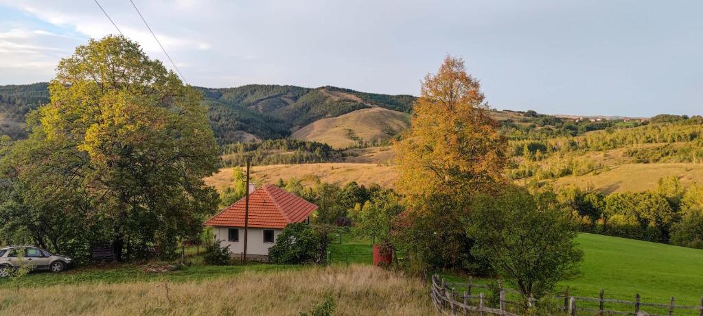 Studenac Mionica — photo 1