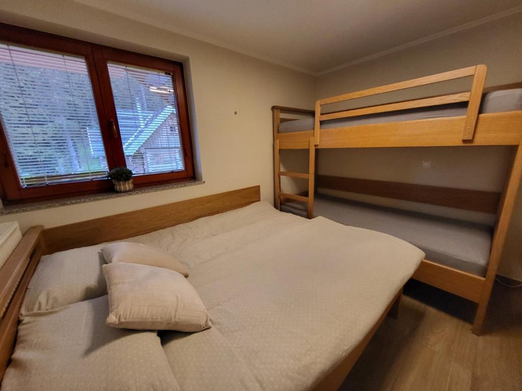 Rogla apartma Rdeča kapica photo 2