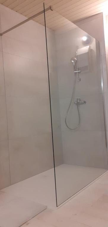 Lovely Old City-Center Apartment photo 3