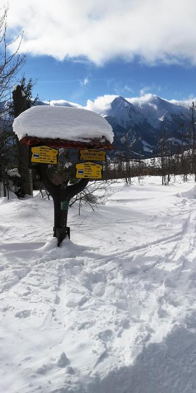 Privát Bachleda Ždiar photo 3