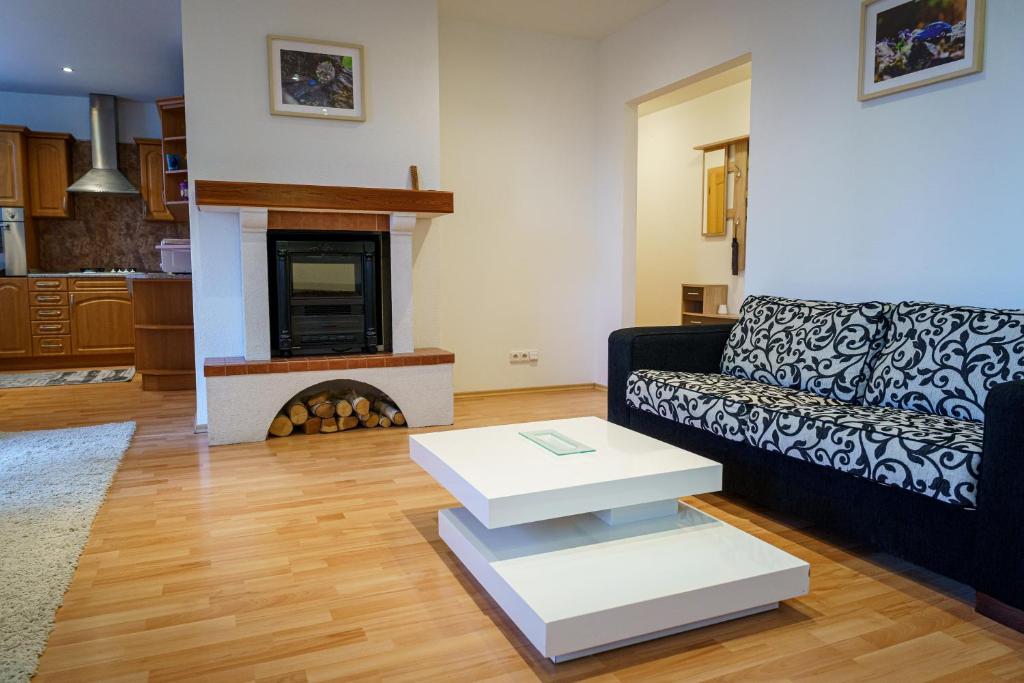 Spacious apartment with a fireplace in the city photo 2