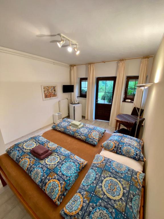 Pet friendly apartment — photo 1