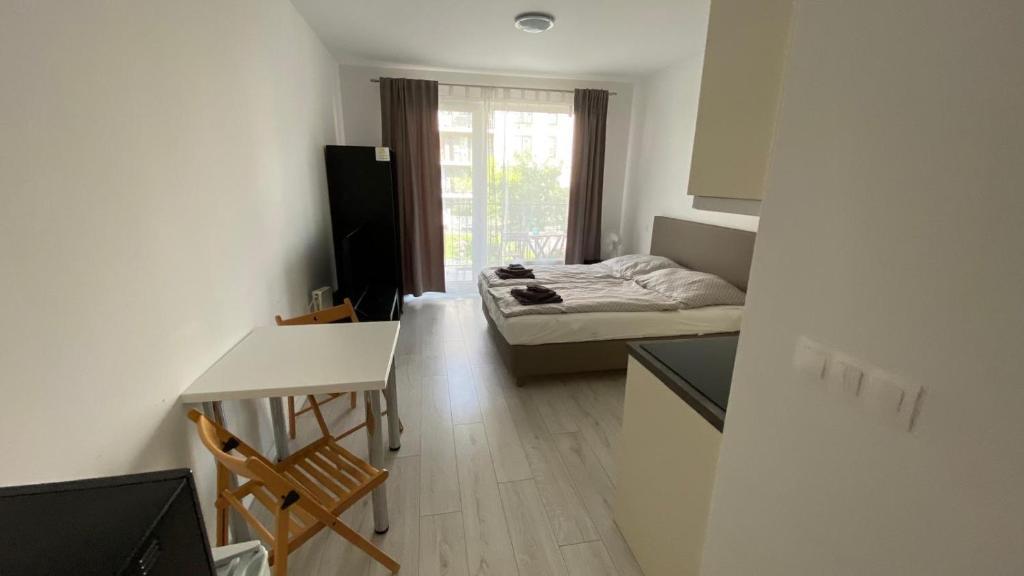 1 room Apartment with terrace photo 2