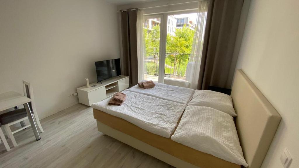 1 room Apartment with terrace photo 2