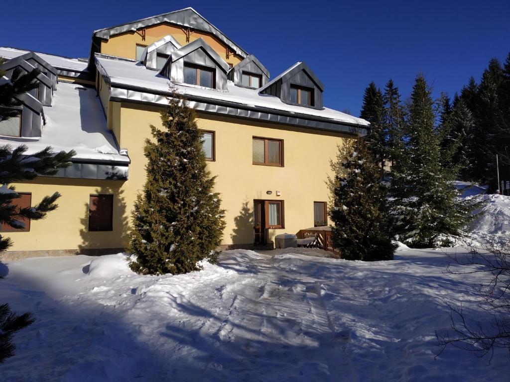 Tatran - Nika — photo 1