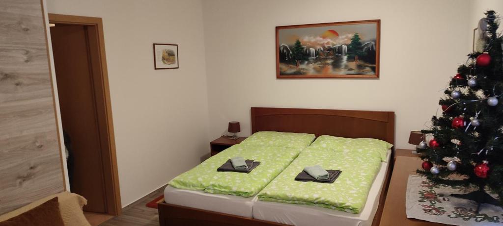 Tatran - Nika photo 2