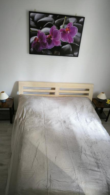 Sv & Angel Apartment photo 2