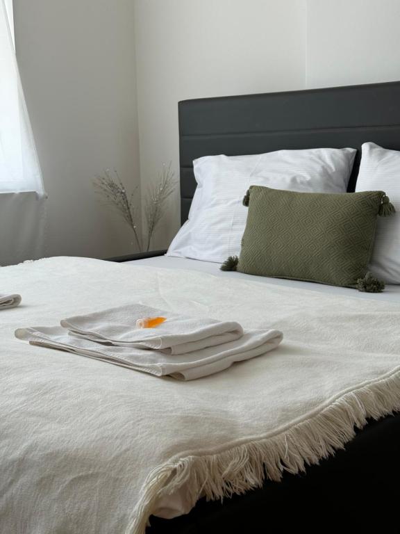SKAU Panorama Family & Business Apartment City View Free Parking photo 2