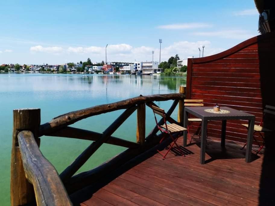 Senec vilka na jazere photo 3