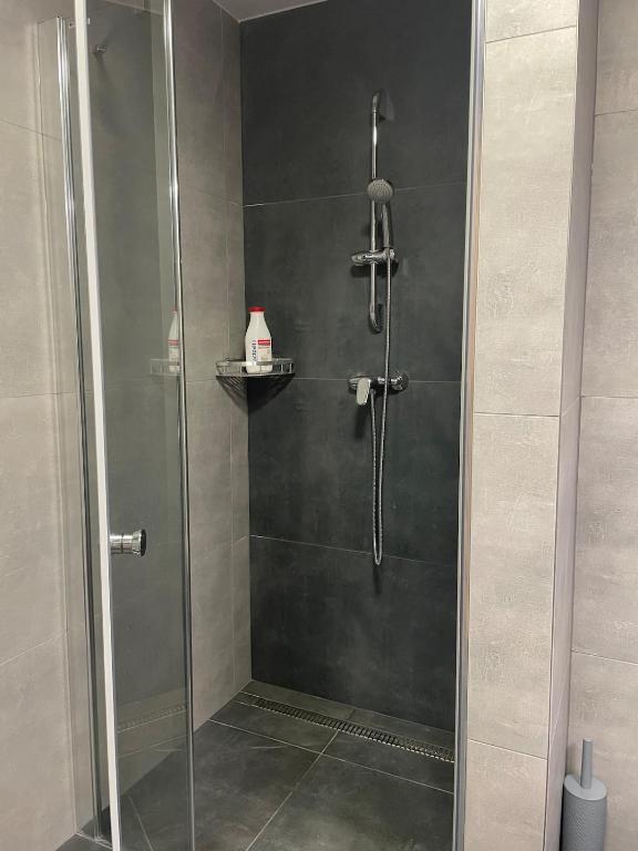 1-room apartment center Rajecké Teplice photo 3