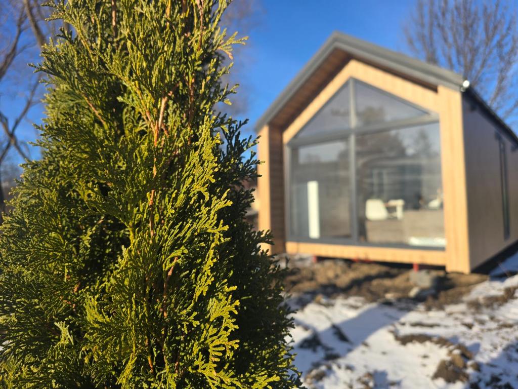 Tiny House Village photo 2