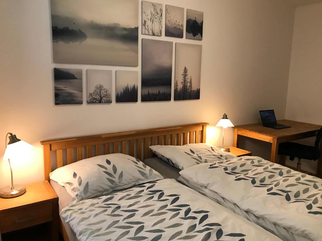 Spacious apartment in the park photo 2