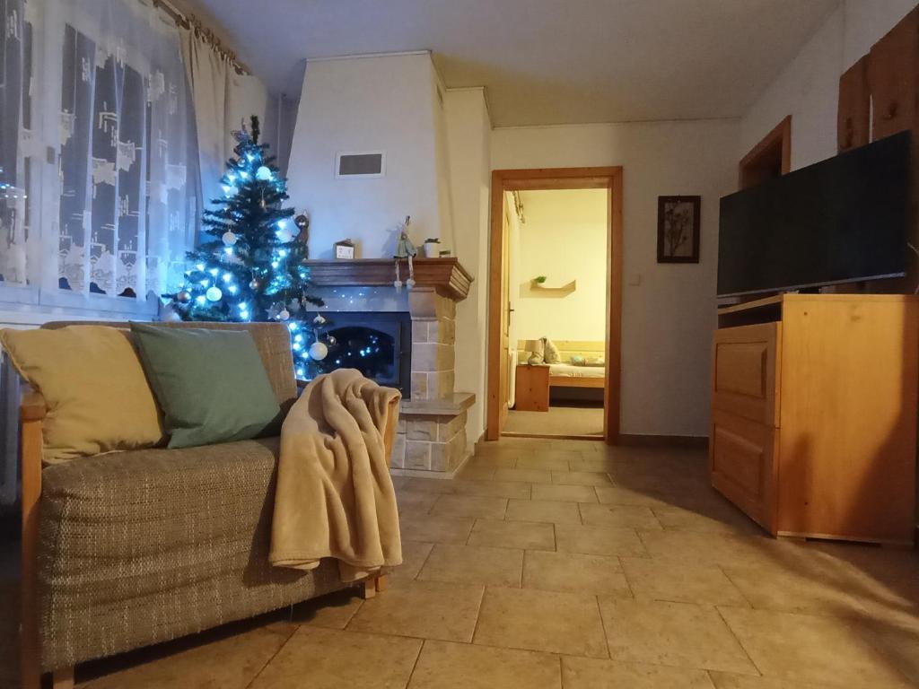 Apartments Ľubka photo 3