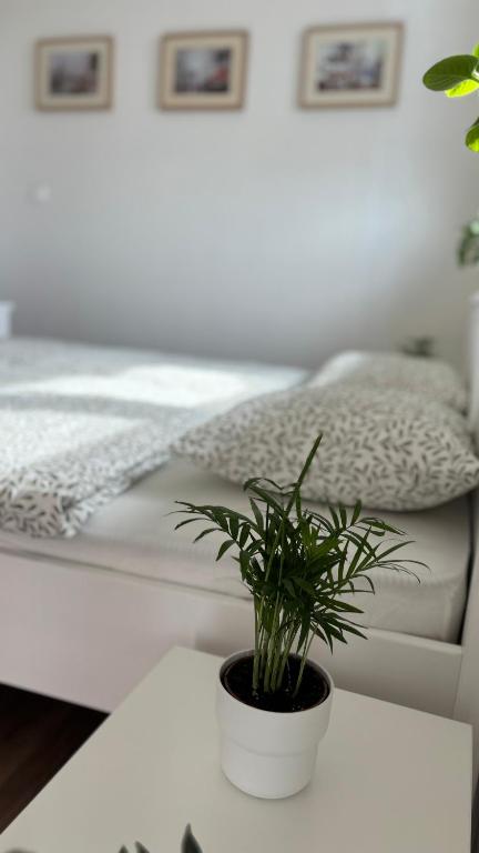 TRIO apartment photo 3
